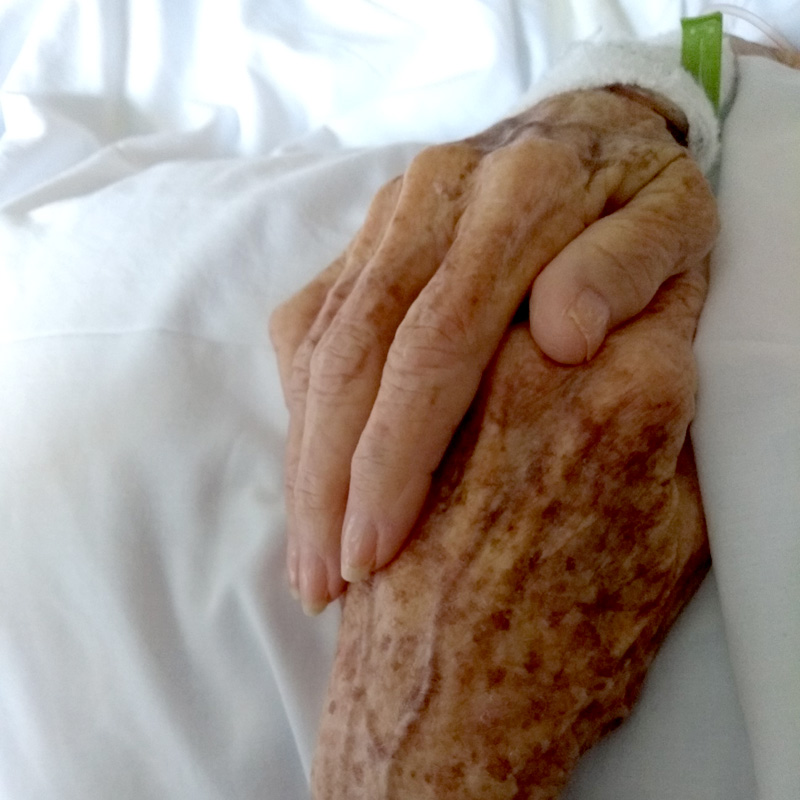 Hands Lynn Mostert Health Coach - Aging gracefully